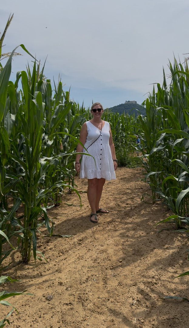 Maislabyrinth Beuren