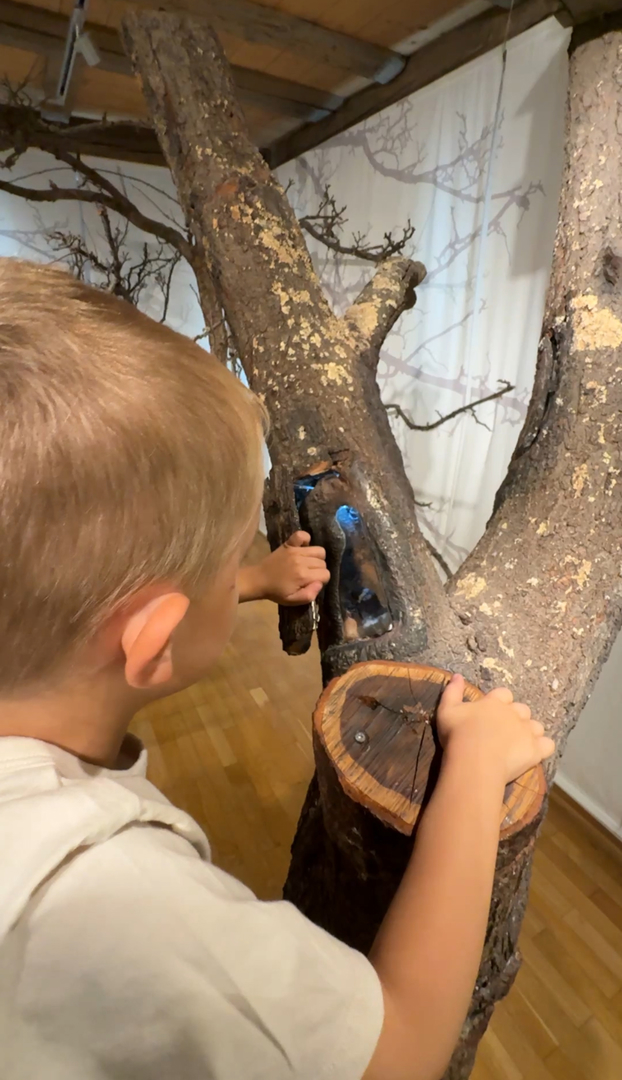 Naturkundemuseum Reutlingen