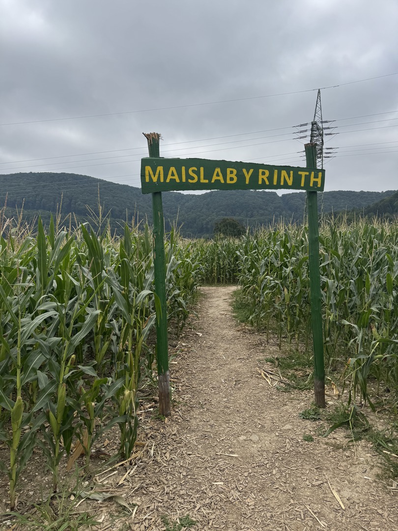 Maislabyrinth Sulzburghof