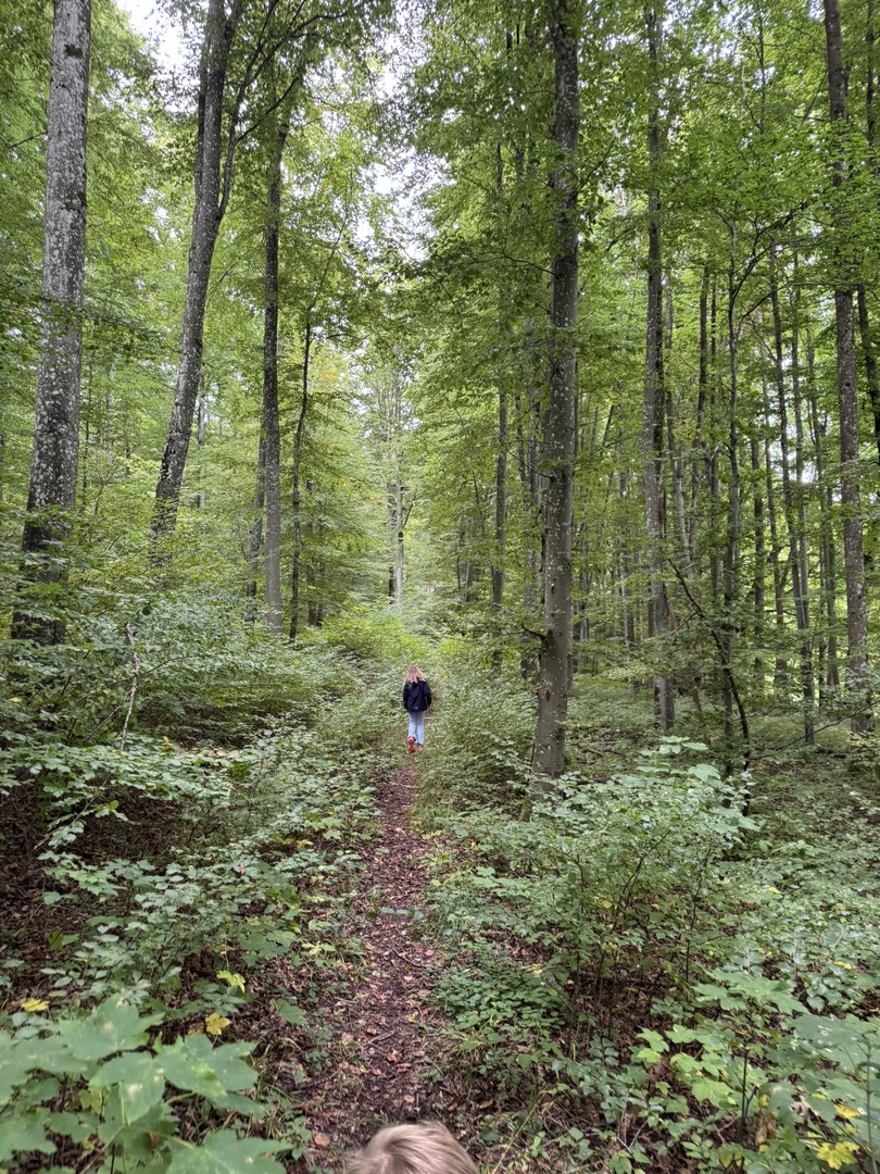 Wanderung Hohenwittlingen über Wolfschlucht Bad Urach - Galeriebild 13