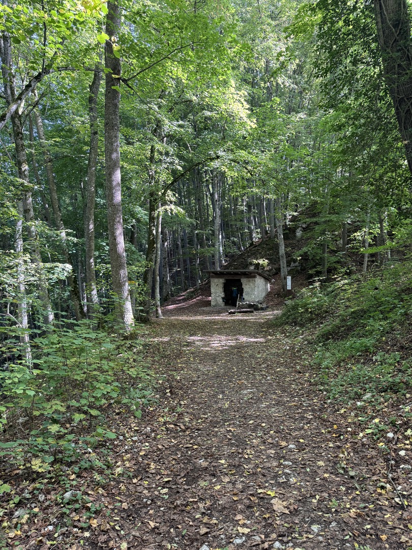 Wanderung Hohenwittlingen über Wolfschlucht Bad Urach - Galeriebild 9