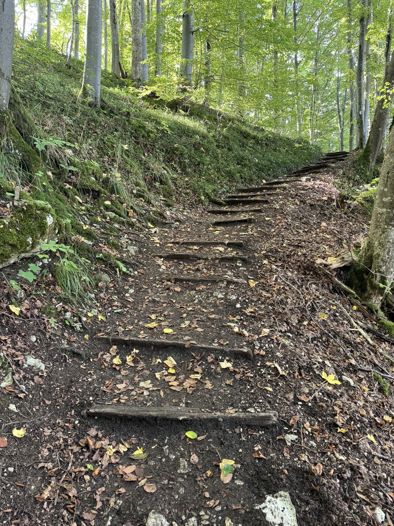 Wanderung Hohenwittlingen über Wolfschlucht Bad Urach - Galeriebild 10