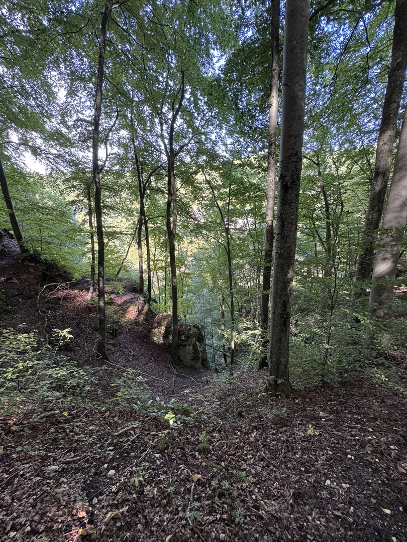 Wanderung Hohenwittlingen über Wolfschlucht Bad Urach - Galeriebild 1