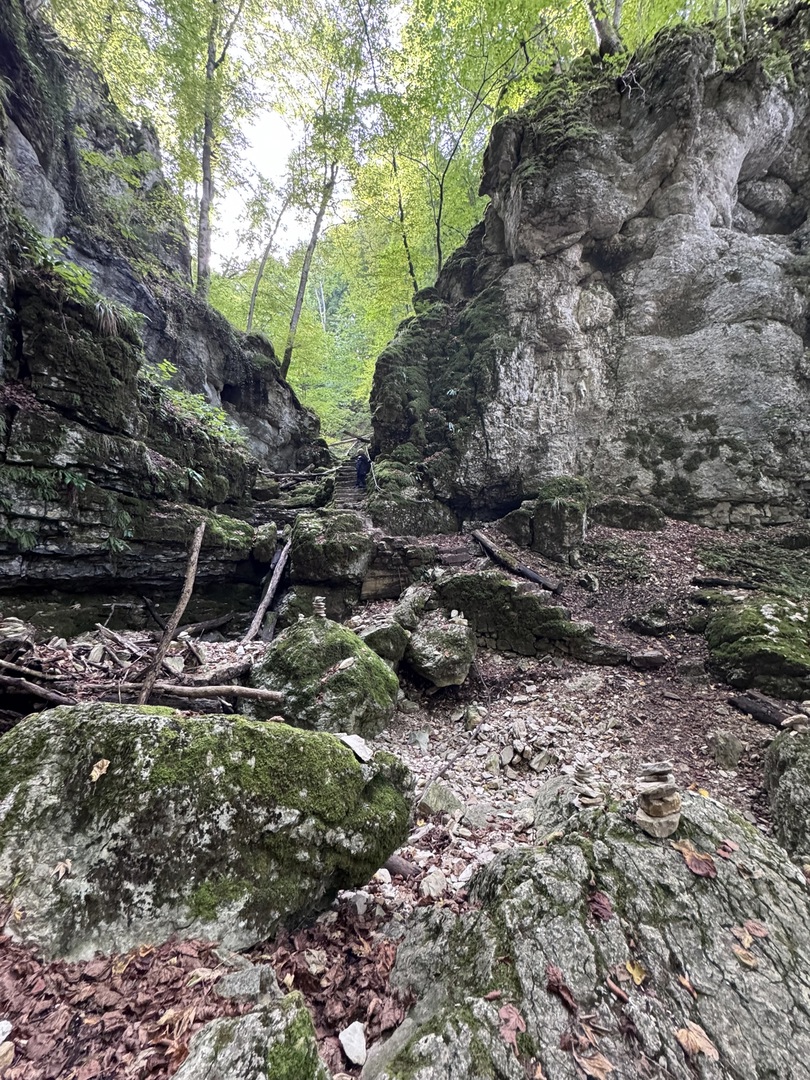 Wanderung Hohenwittlingen über Wolfschlucht Bad Urach - Galeriebild 3