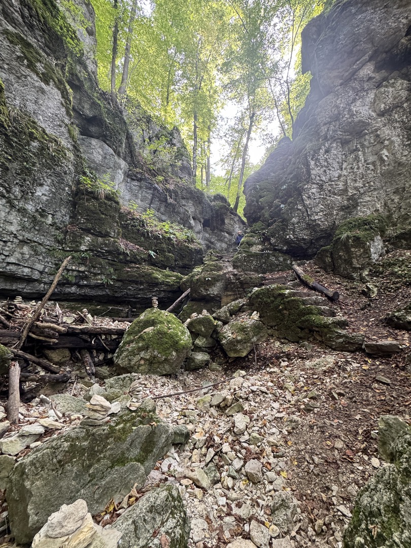 Wanderung Hohenwittlingen über Wolfschlucht Bad Urach - Galeriebild 11