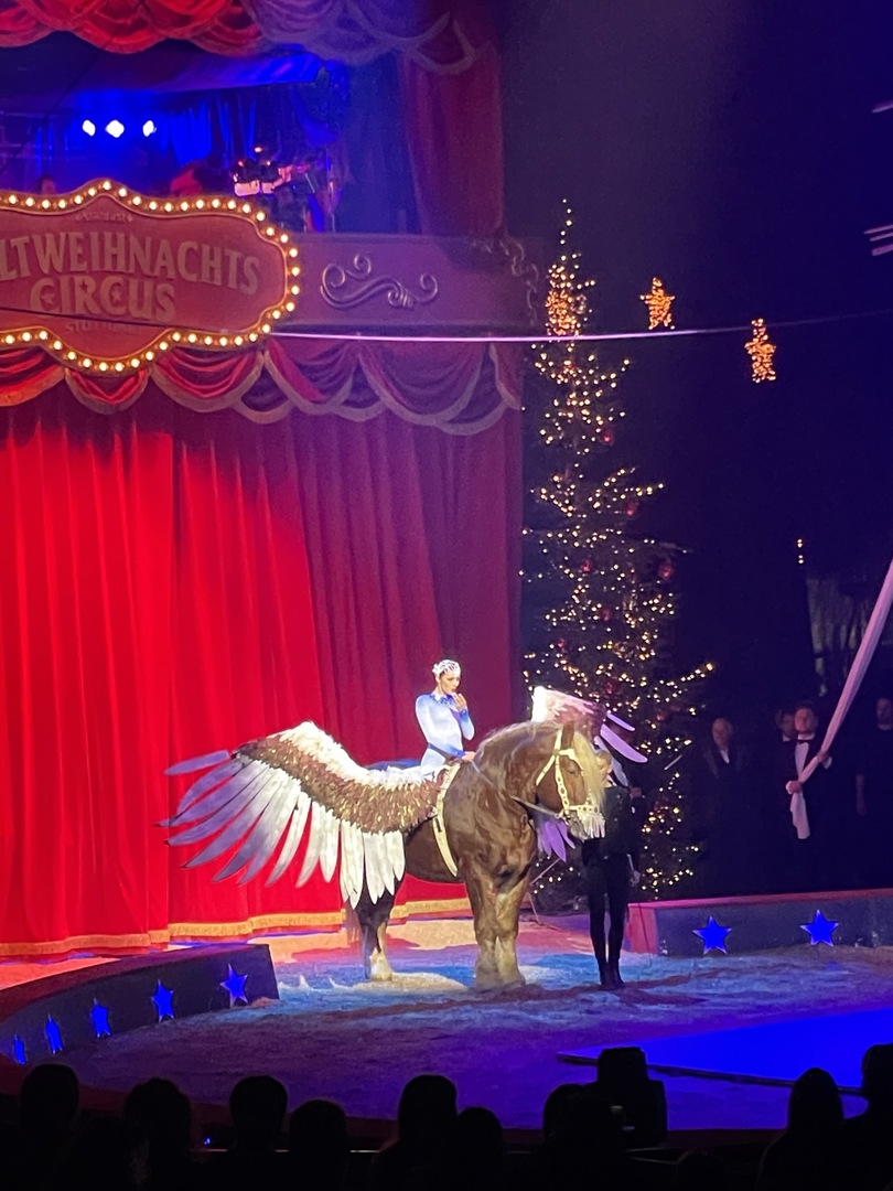 Weltweihnachtscirkus Stuttgart 2022
