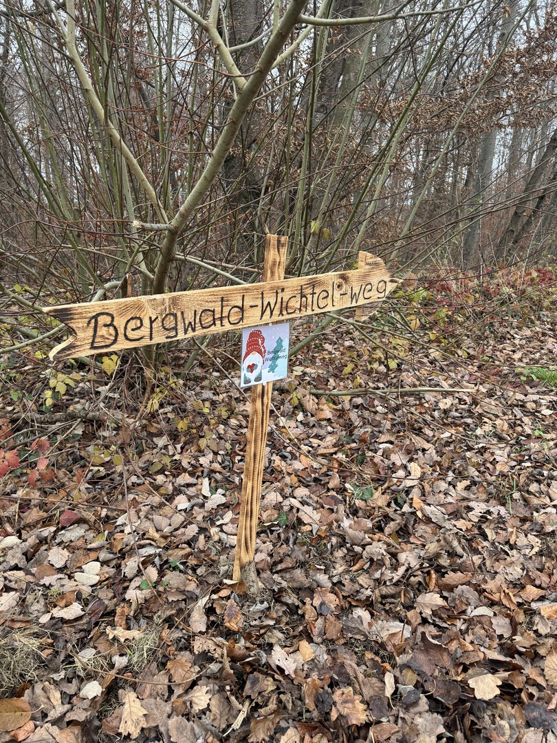 Bergwald Wichtelweg Ohmden 2024
