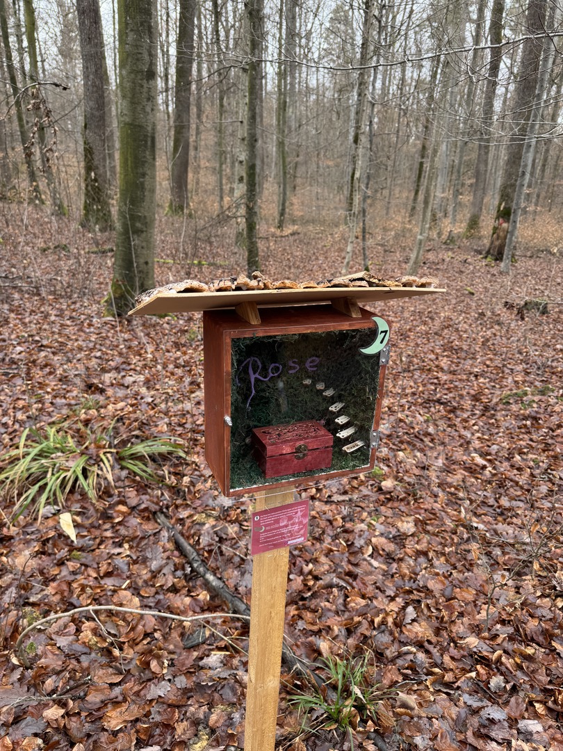 Ramadan Rally Reutlingen – Familienpfad im Markwasen