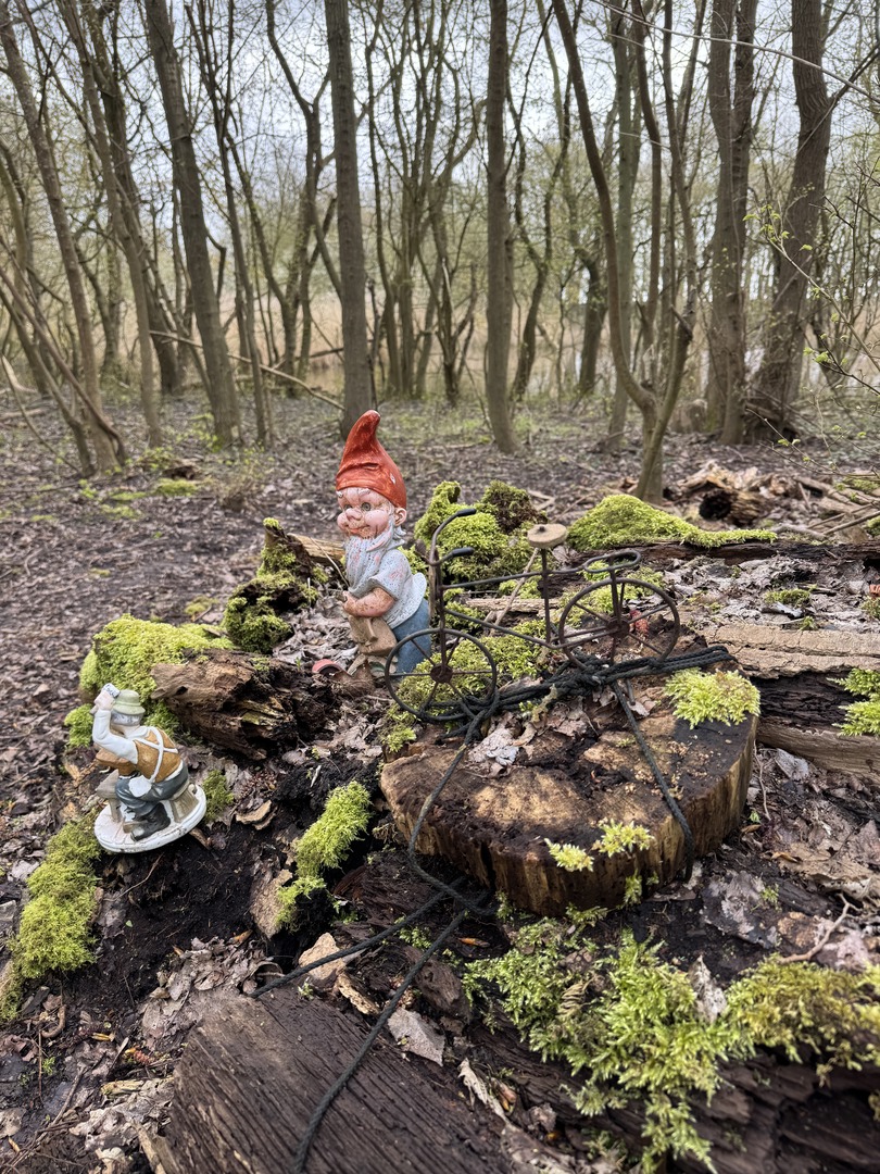 Zwergenwald Renesse: Magischer Familien-Waldspaziergang