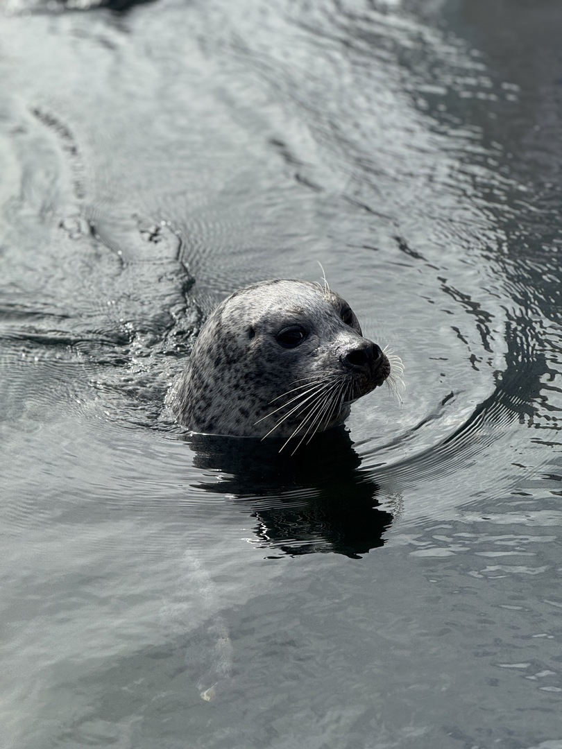 Deltapark Neeltje Jans: Erlebnispark & Sturmflut hautnah