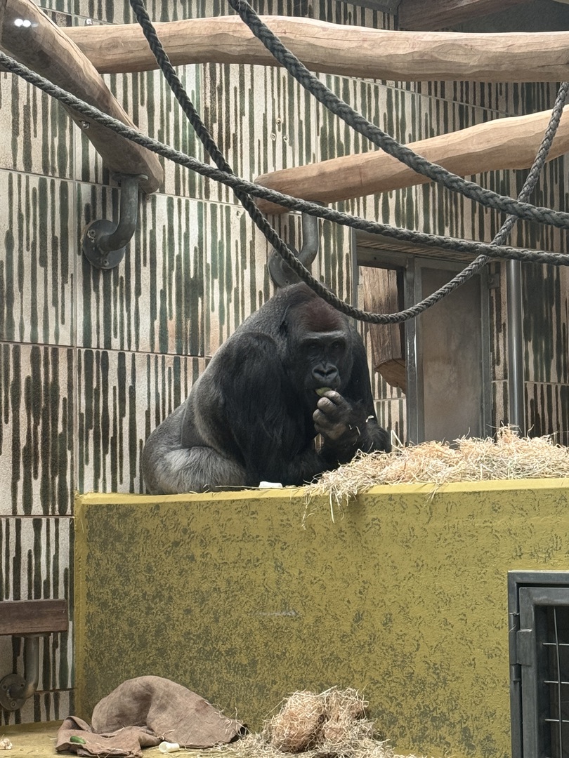 Tiergarten Nürnberg – Naturzoo & Familienparadies