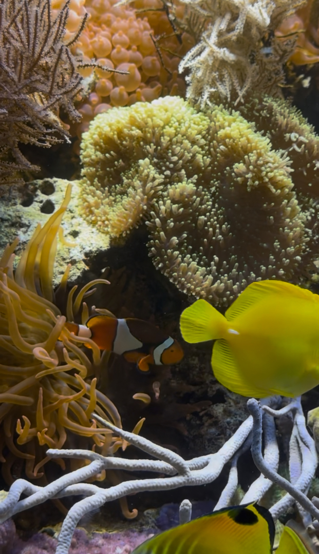 Tiergarten Ulm – Zoo, Aquarium & Tropenhaus für Familien