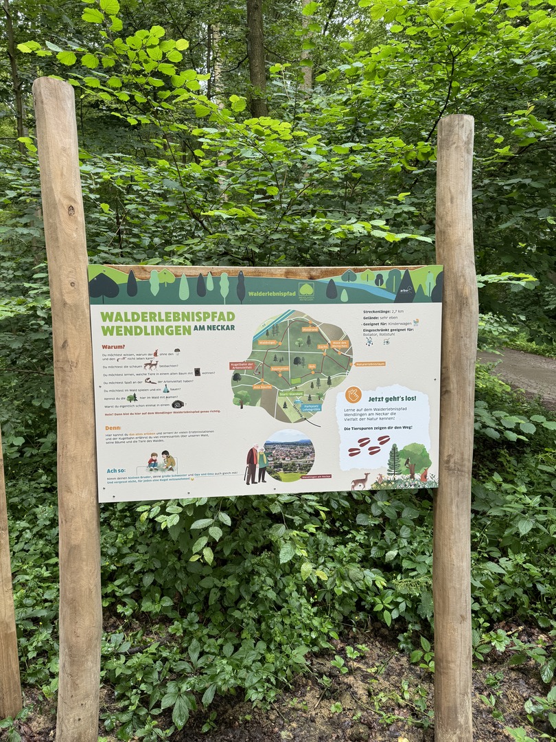 Walderlebnispfad Wendlingen