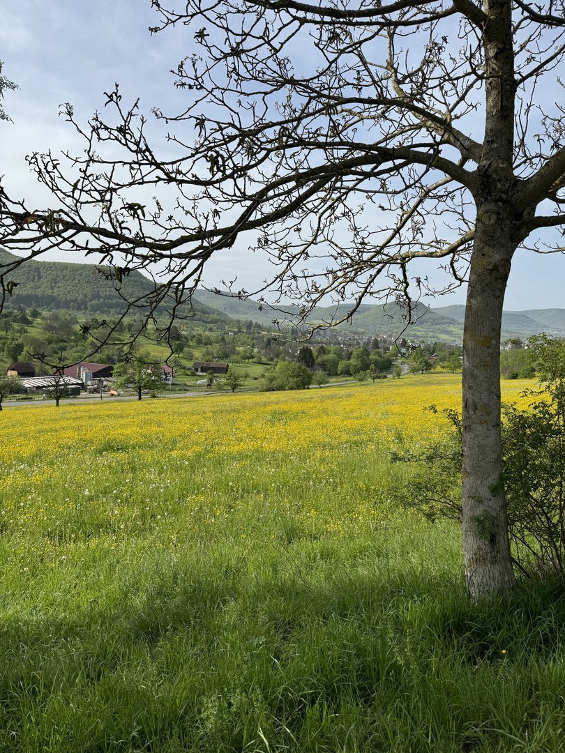 Walderlebnisweg Rangenbergle - Eningen u. Achalm