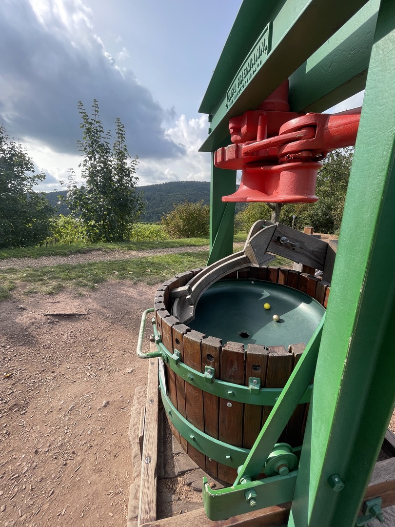 Herzogliche Kugelbahn Stetten im Remstal – Familienausflug