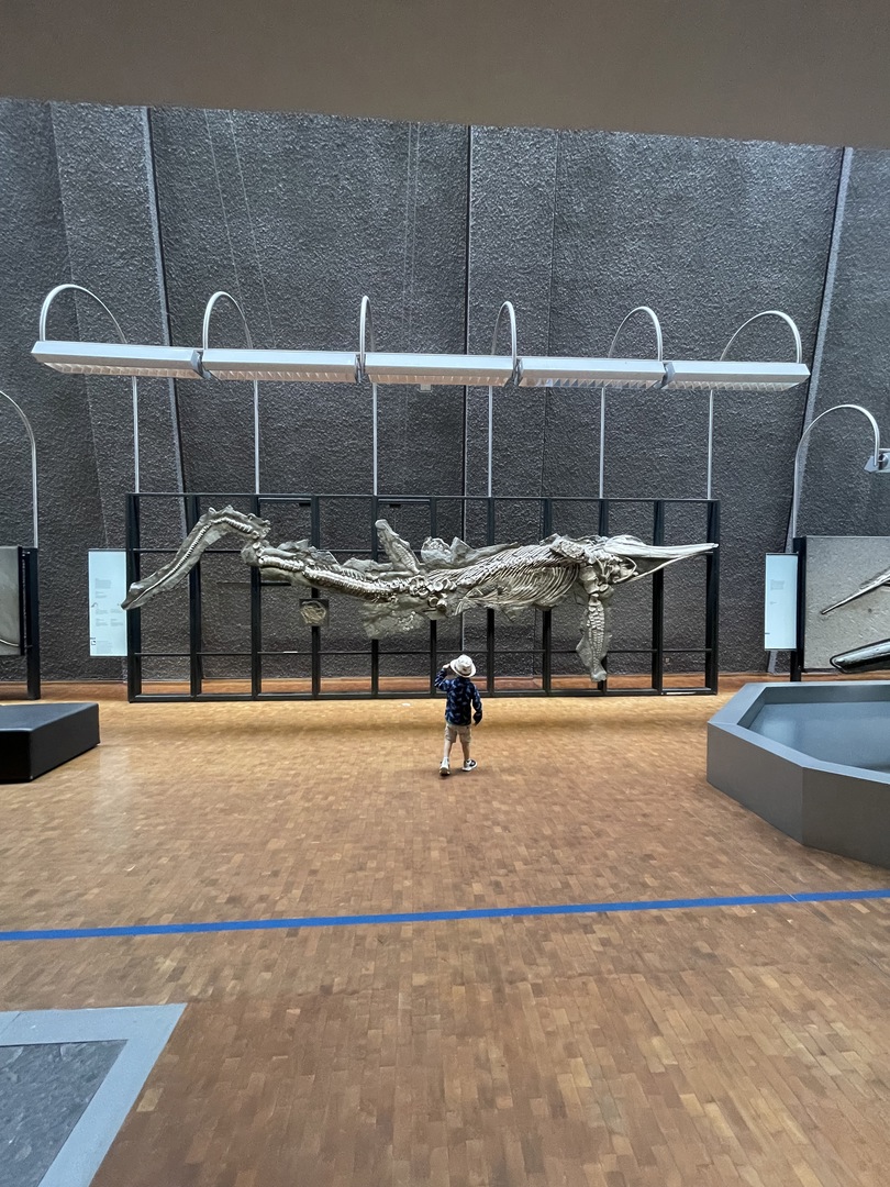 Naturkundemuseum Stuttgart