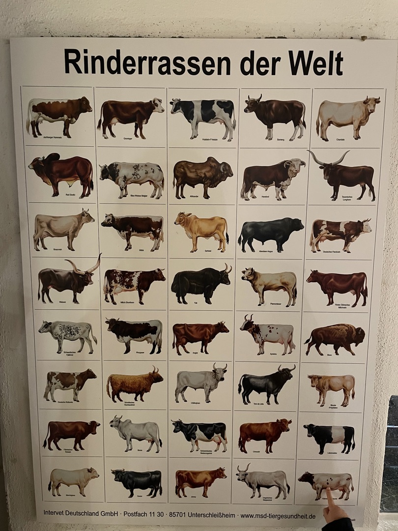 Bergbauernmuseum Diepolz - Galeriebild 11