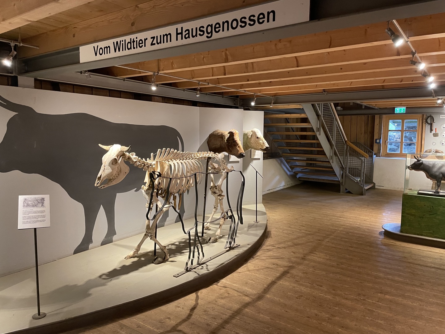 Bergbauernmuseum Diepolz - Galeriebild 9