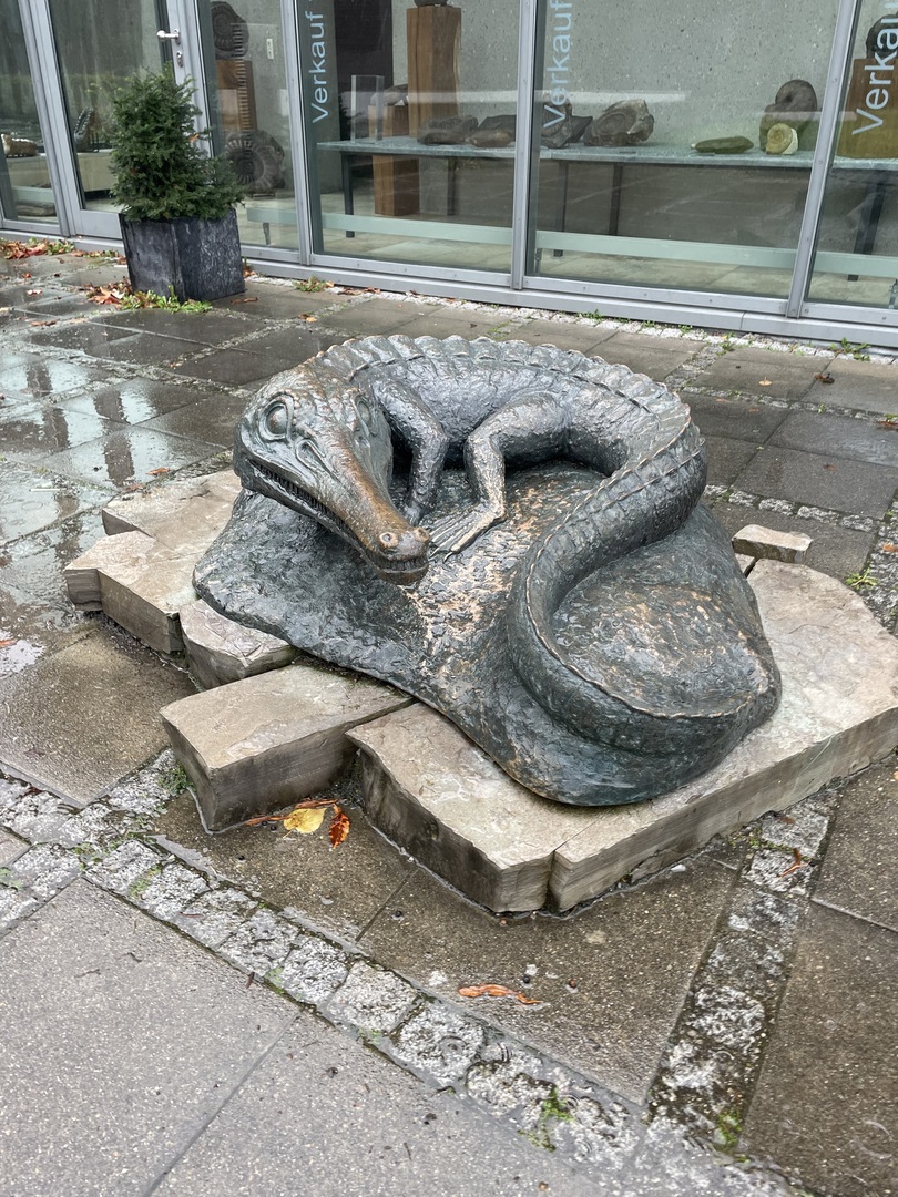 Urweltmuseum Hauff Holzmaden - Galeriebild 4