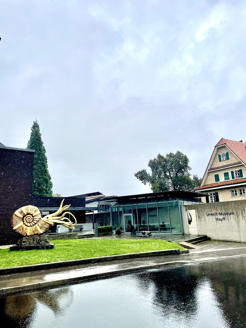 Urweltmuseum Hauff Holzmaden - Galeriebild 2