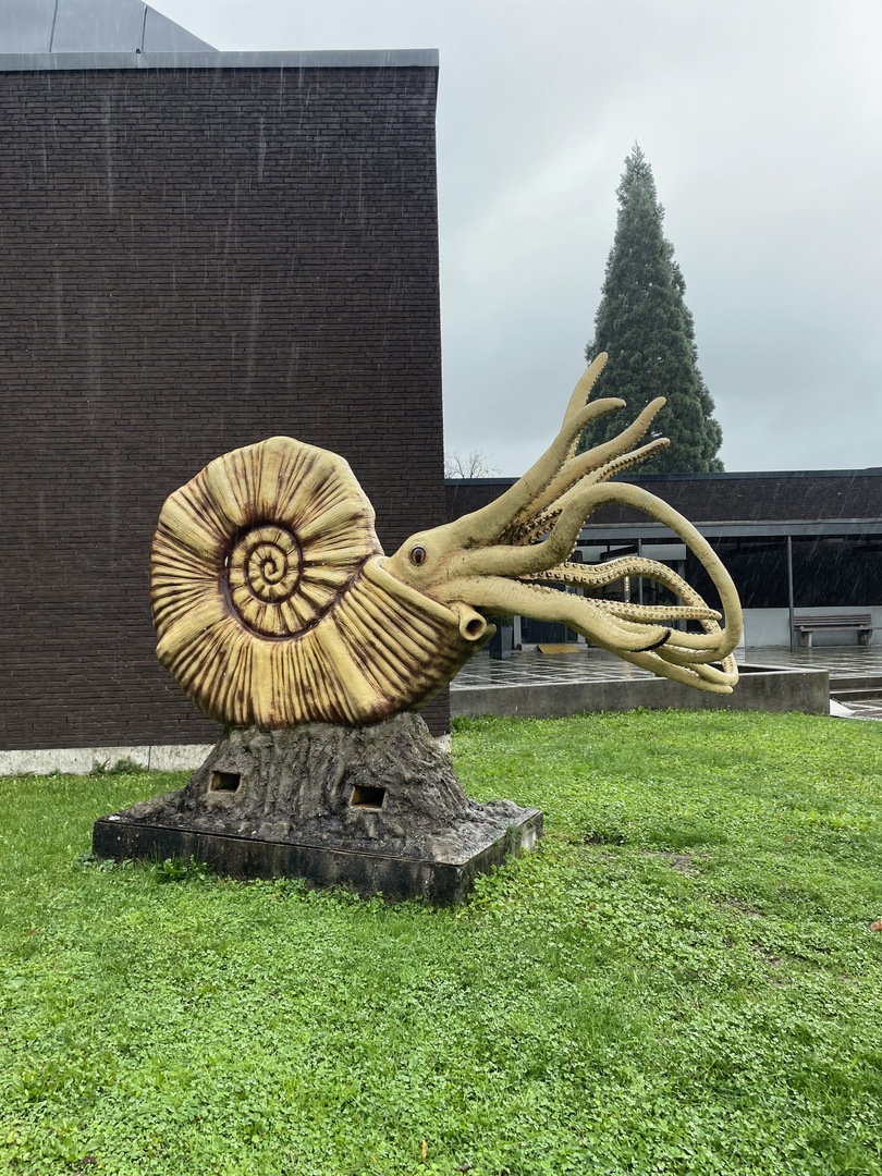 Urweltmuseum Hauff Holzmaden - Galeriebild 3