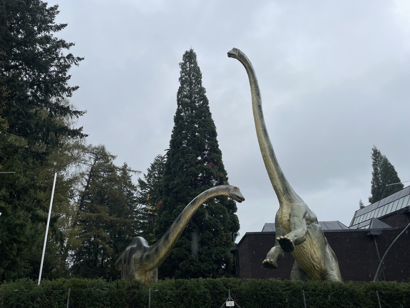 Urweltmuseum Hauff Holzmaden - Galeriebild 1