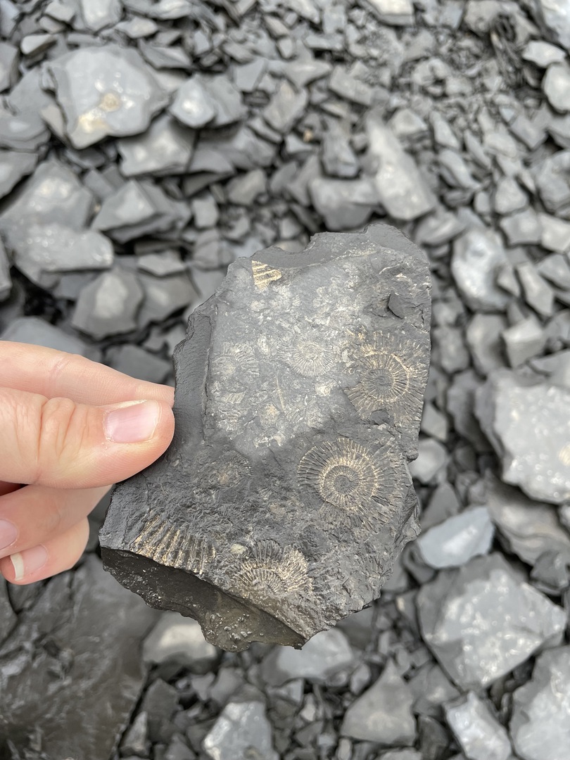 Schieferbruch Kromer Ohmden