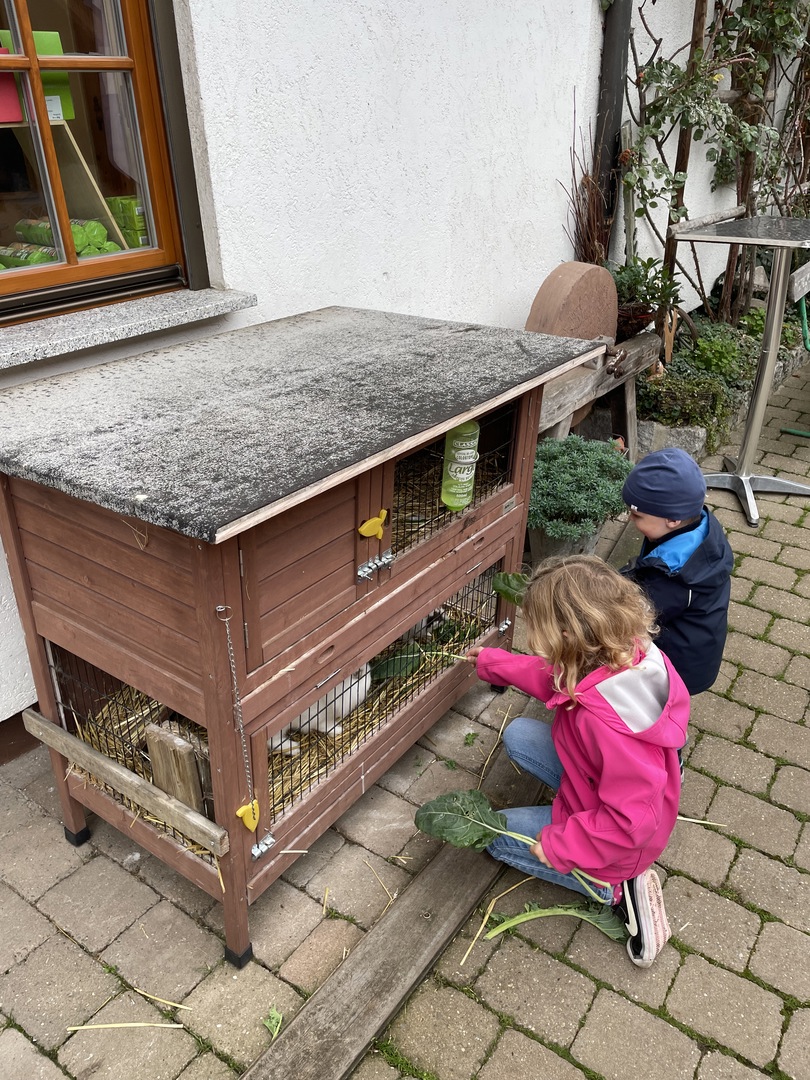 Baiersbach Hof - Galeriebild 15