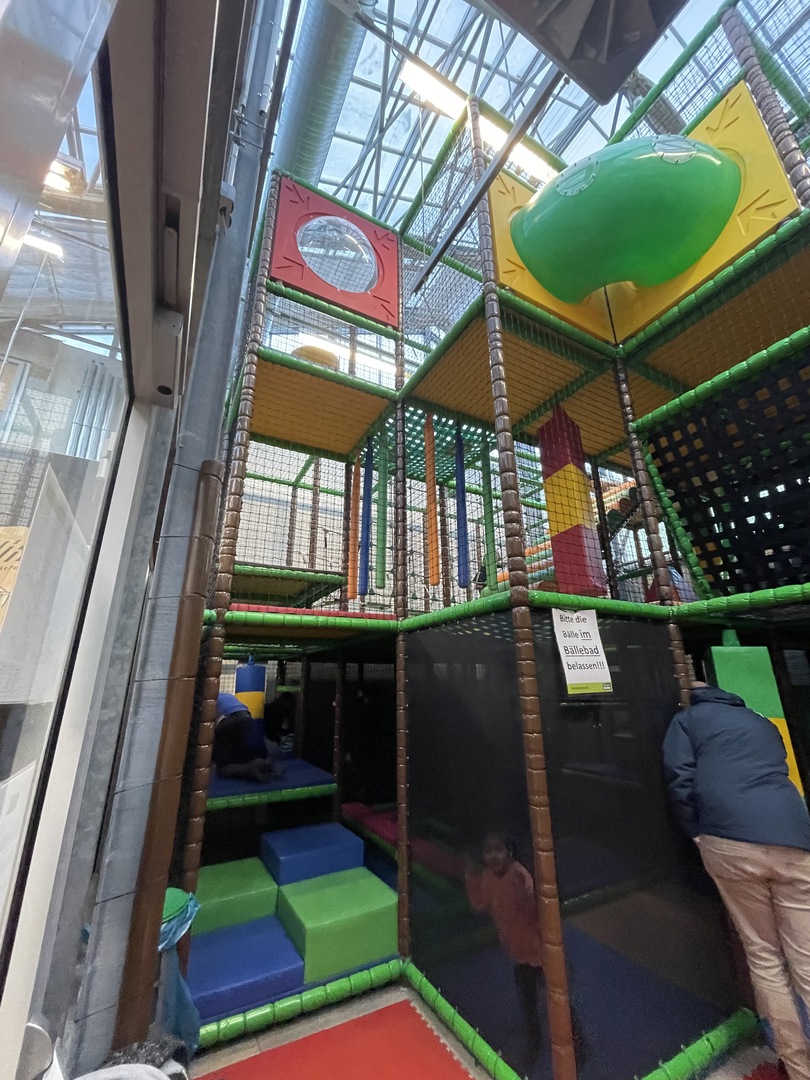 Pflanzen Kölle Stuttgart - Galeriebild 7