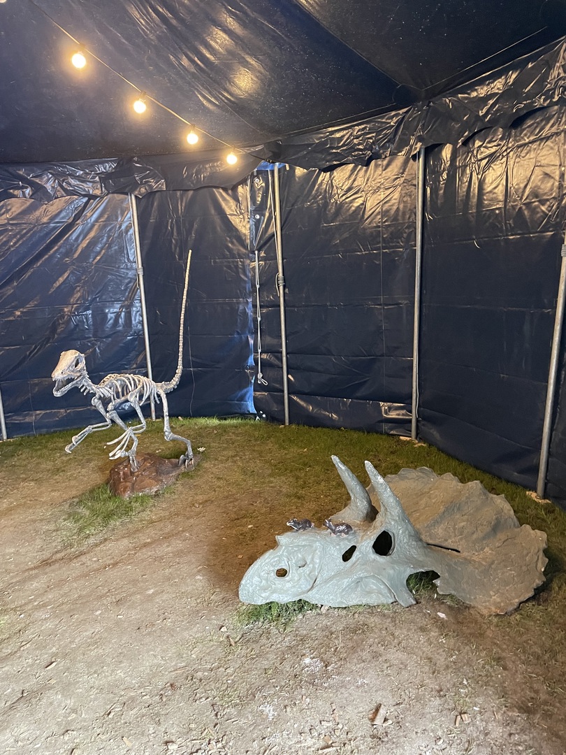 Pflanzen Kölle Stuttgart - Galeriebild 19
