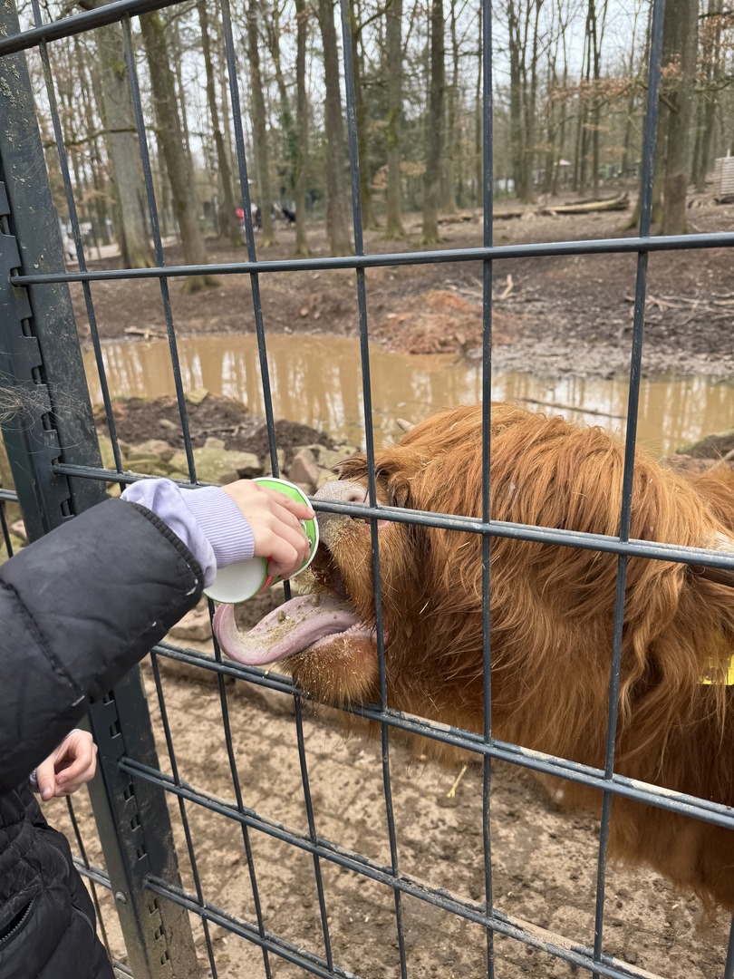 Wildpark Pforzheim